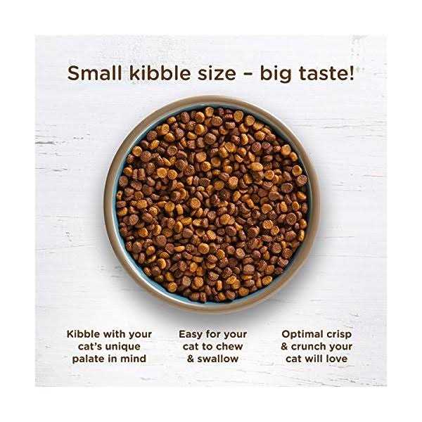 Alternative view of Rachael Ray Nutrish Super Premium Cat Dry Food