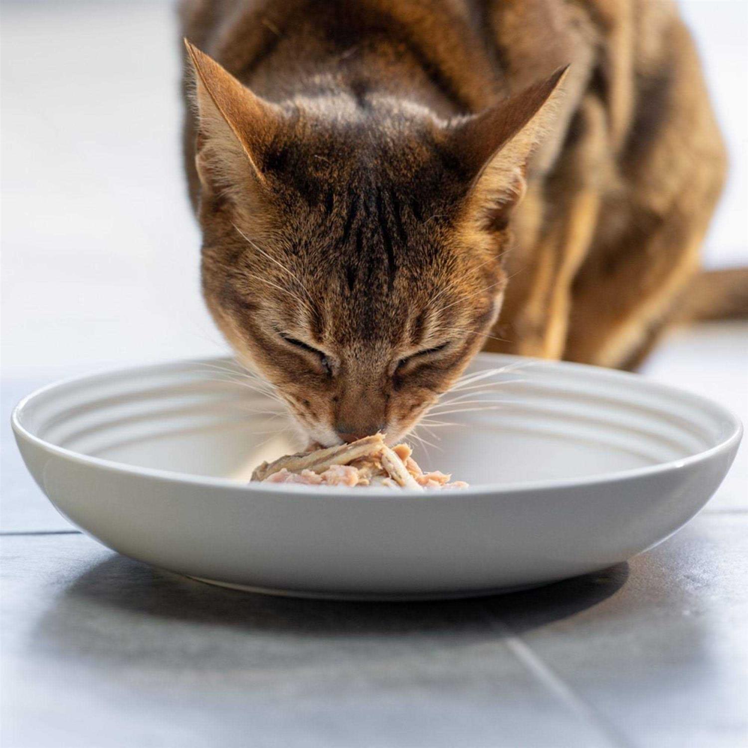 Alternative view of Reveal Natural Wet Cat Food Fish Variety Pack in Broth