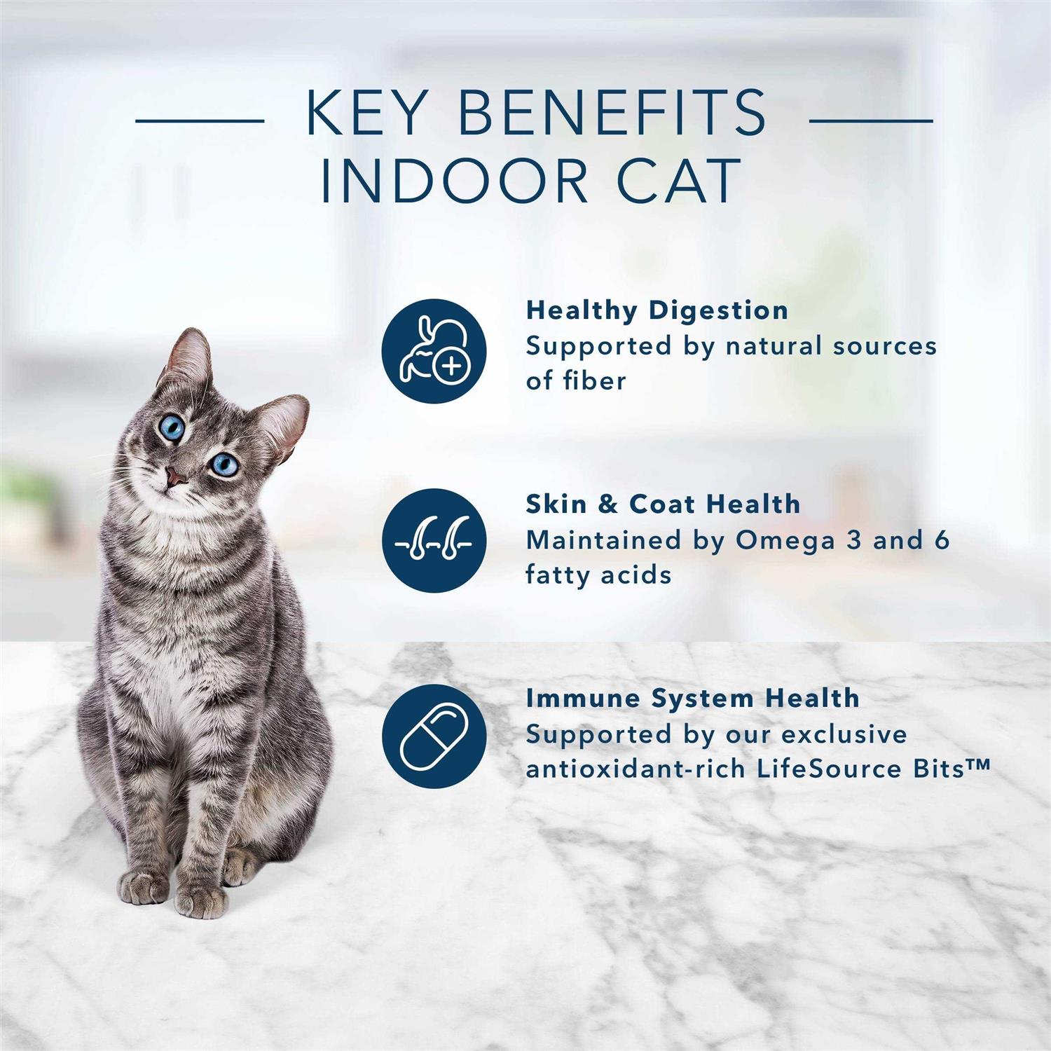Alternative view of Blue Buffalo Indoor Health