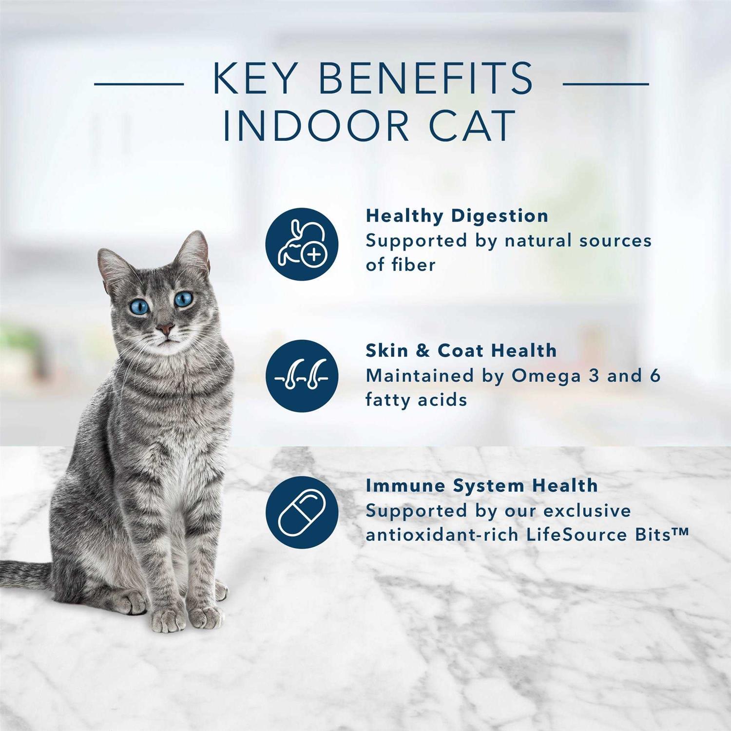 Alternative view of Blue Buffalo Indoor Health