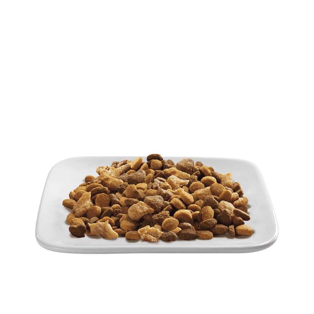 Alternative view of Purina Pro Plan Indoor Hairball Management Shredded Blend Turkey & Rice Formula Dry Cat Food