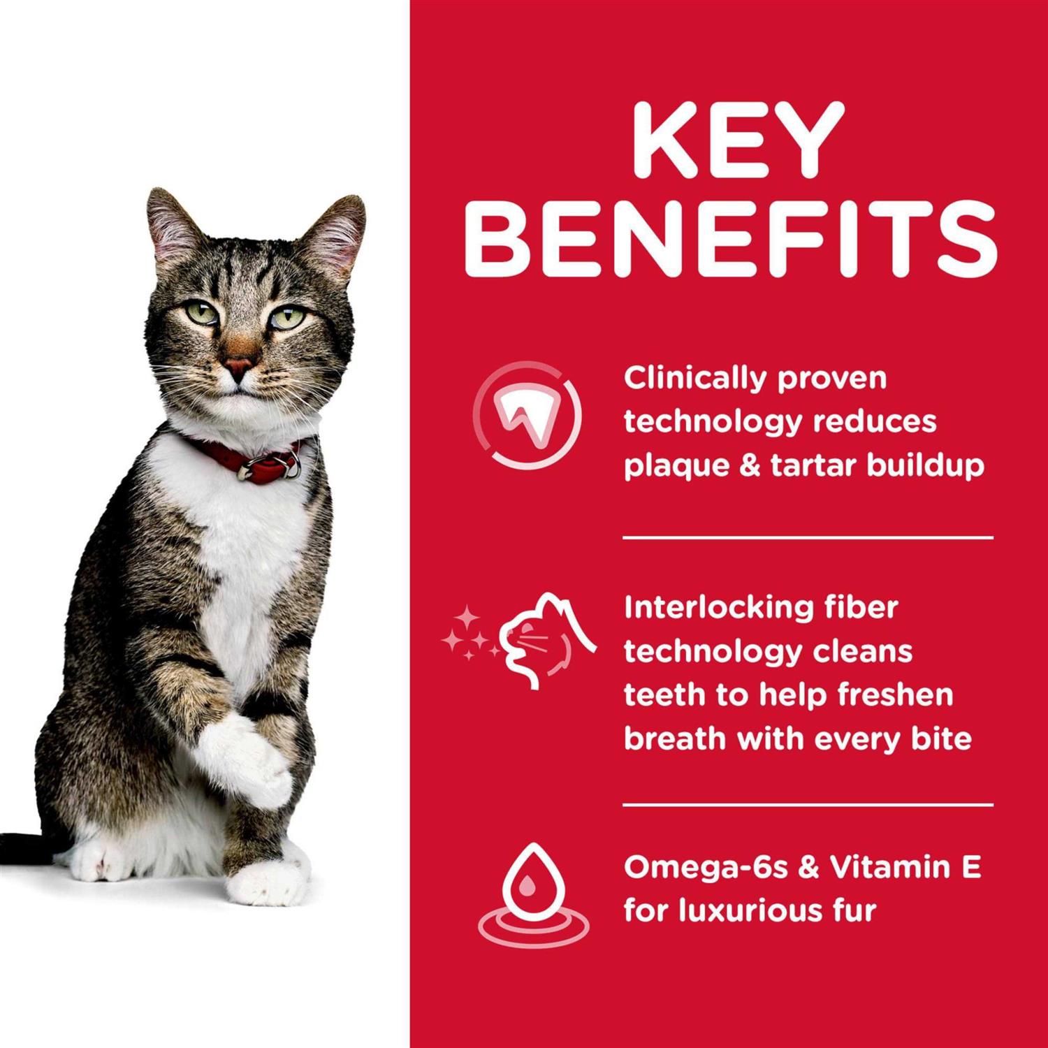 Alternative view of Science Diet Oral Care Adult Dry Cat Food