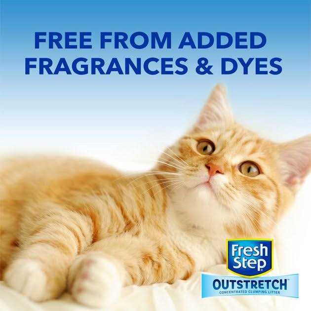 Alternative view of Fresh Step Outstretch Concentrated Clumping Cat Litter Unscented