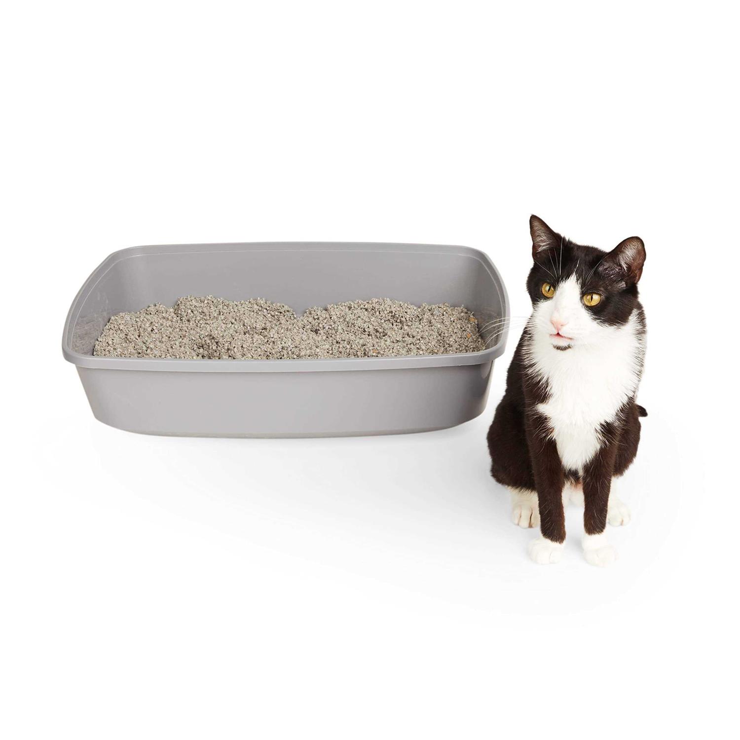 Alternative view of So Phresh Open Cat Litter Box