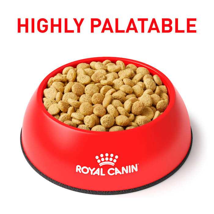 Alternative view of Royal Canin Veterinary Satiety Weight Management