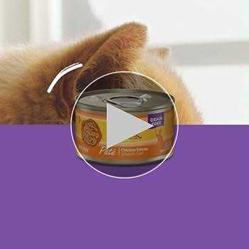 Alternative view of Wellness Chicken & Turkey Pate Complete Health Favorites Variety Pack
