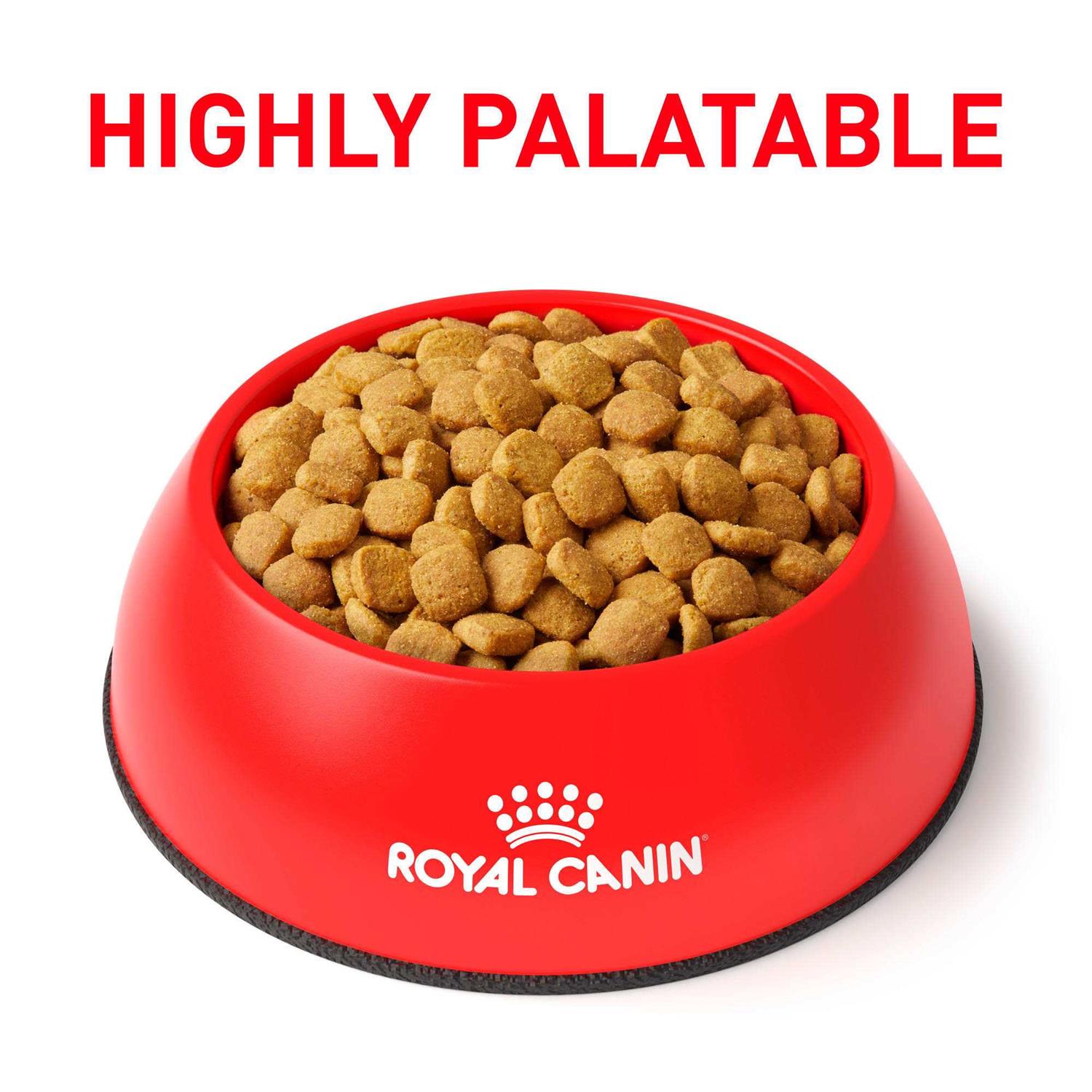 Alternative view of Royal Canin Veterinary Diet Feline Glycobalance Dry Cat Food
