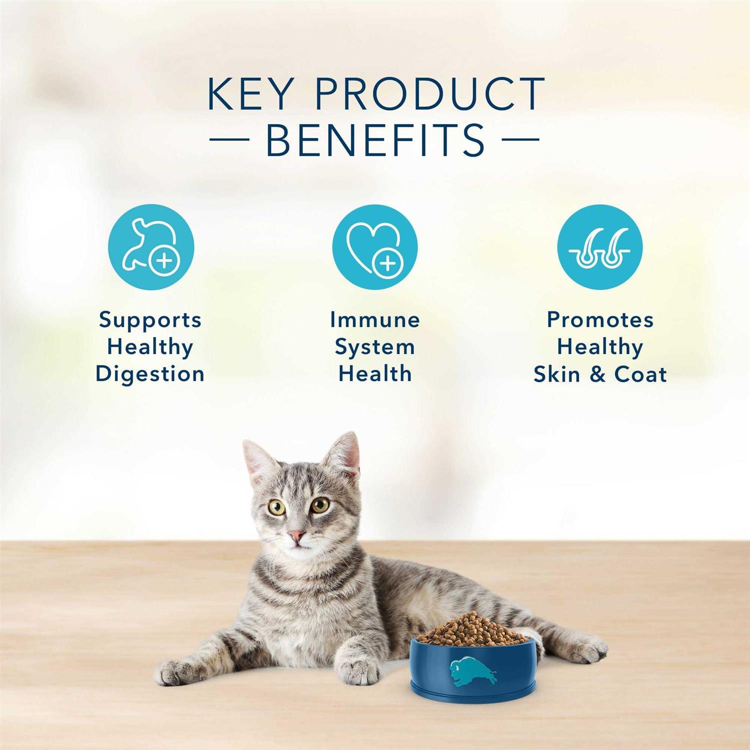Alternative view of BLUE Basics Grain-Free Adult Indoor Dry Cat Food