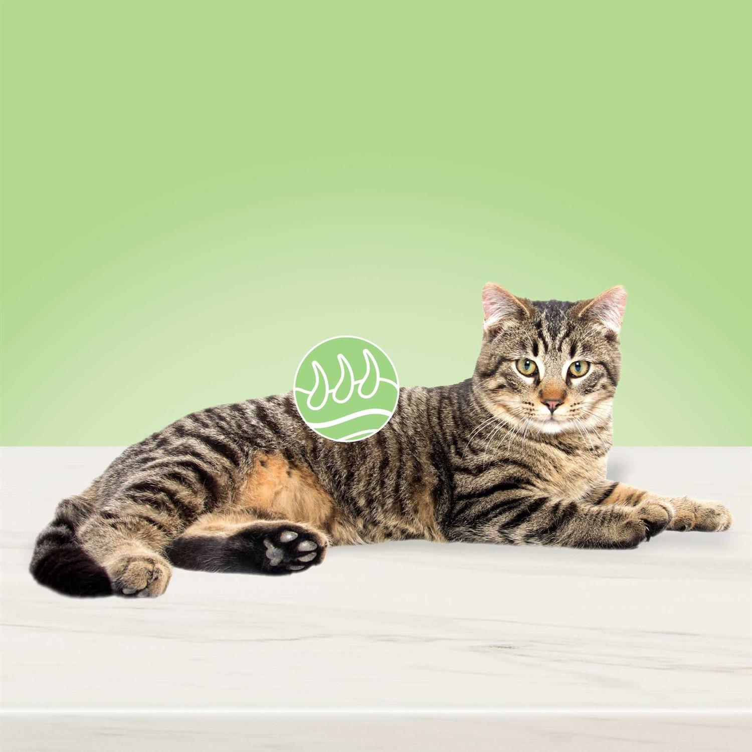 Alternative view of Blue Buffalo True Solutions Perfect Coat Natural Skin & Coat Care Adult Dry Cat Food