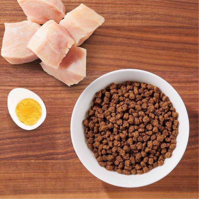 Alternative view of Iams ProActive Health Dry Kitten Food