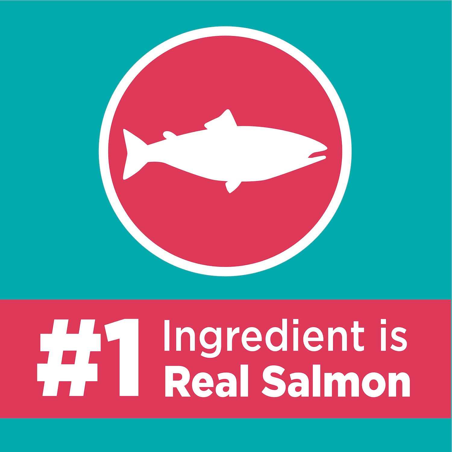 Alternative view of Iams Proactive Health Care Salmon Adult Dry Cat Food