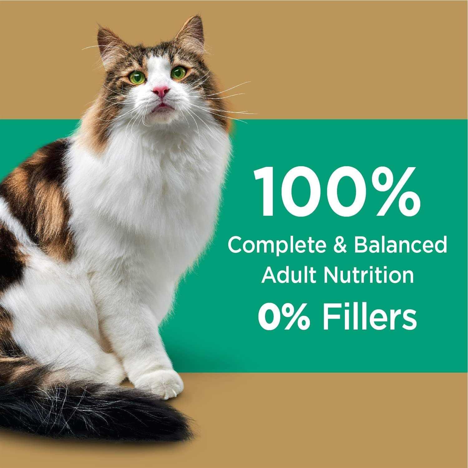 Alternative view of Iams Proactive Health Care Salmon Adult Dry Cat Food