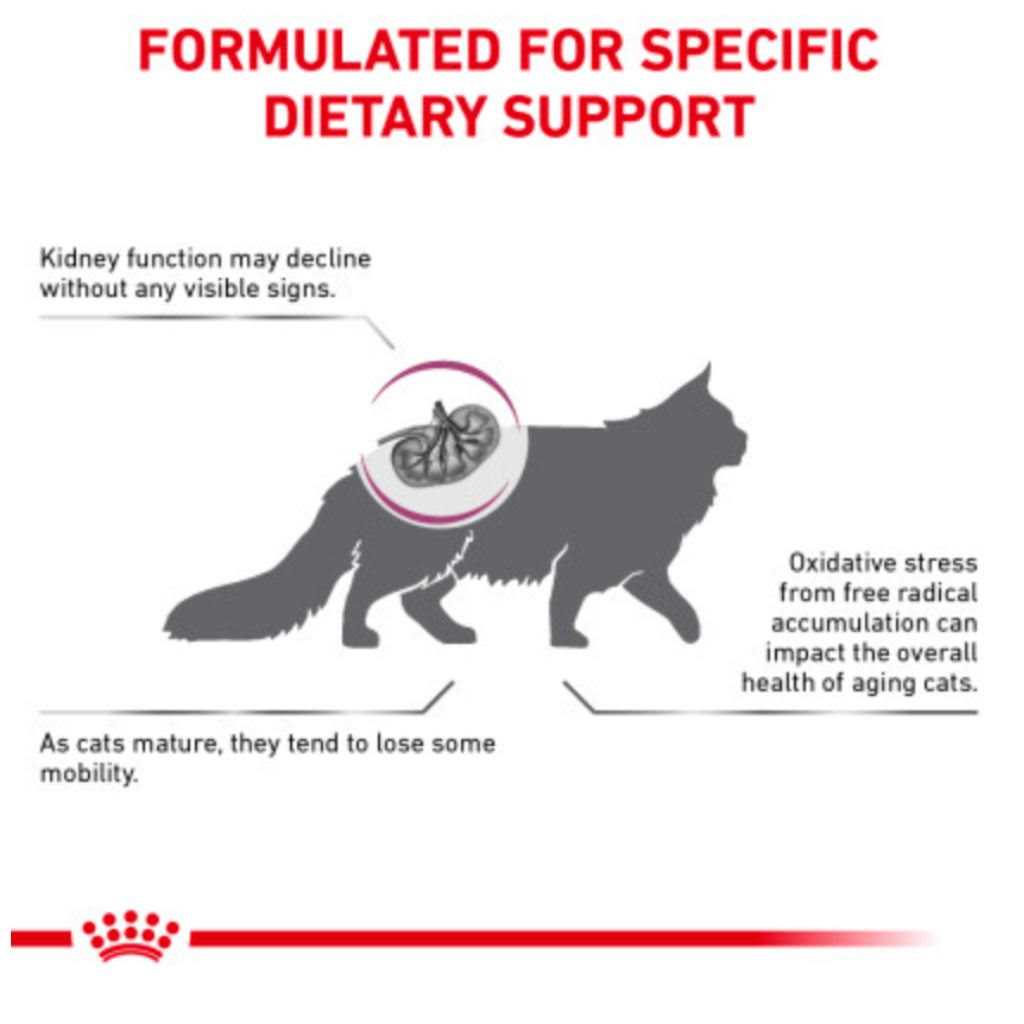Alternative view of Royal Canin Veterinary Diet Feline Renal Support S Adult Dry Cat Food