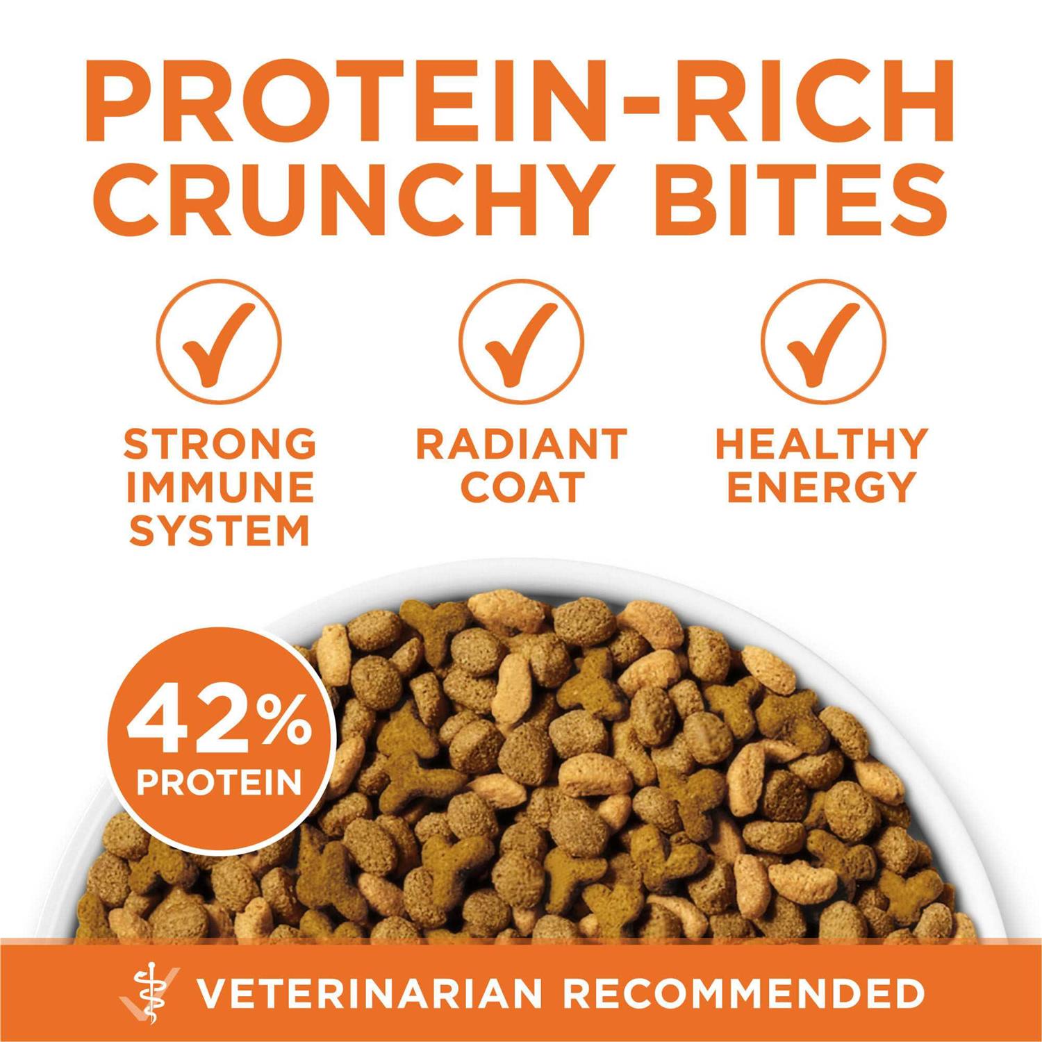 Alternative view of Purina ONE Healthy Metabolism Dry Cat Food