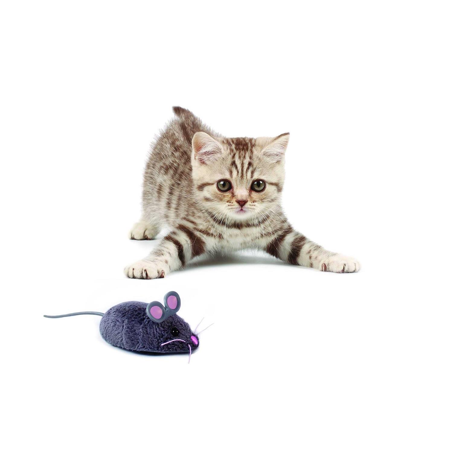 Alternative view of Hexbug Mouse Robotic Cat Toy