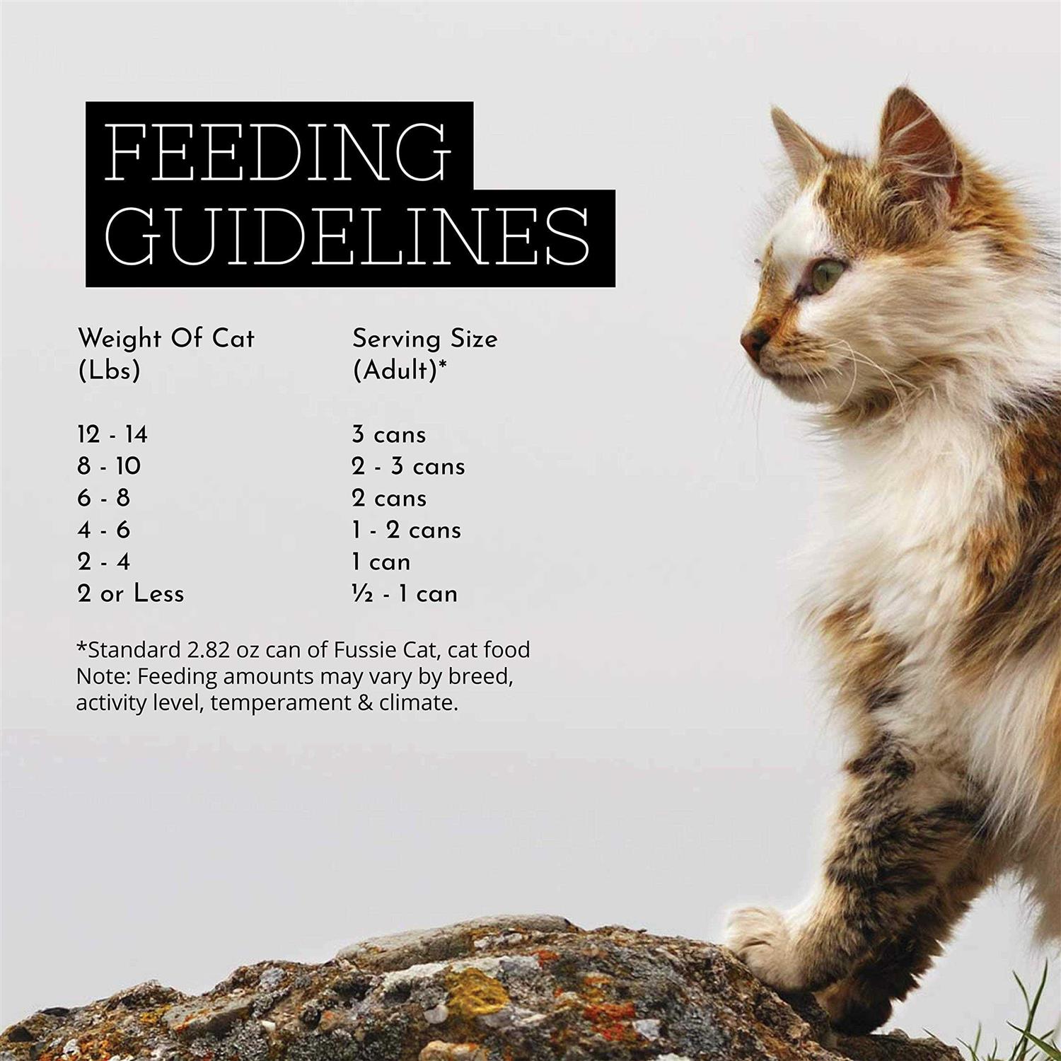 Alternative view of Fussie Cat Premium Tuna Cat Food