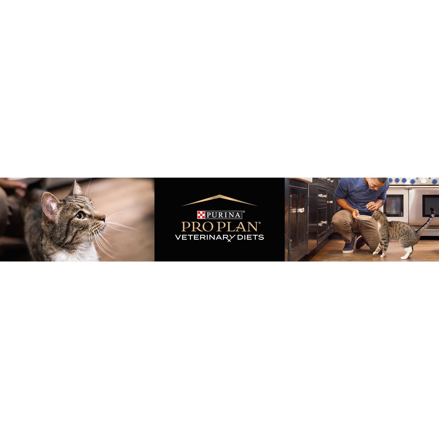 Alternative view of Purina Pro Plan Veterinary Diets DM Dietetic Management Feline Formula Dry Cat Food
