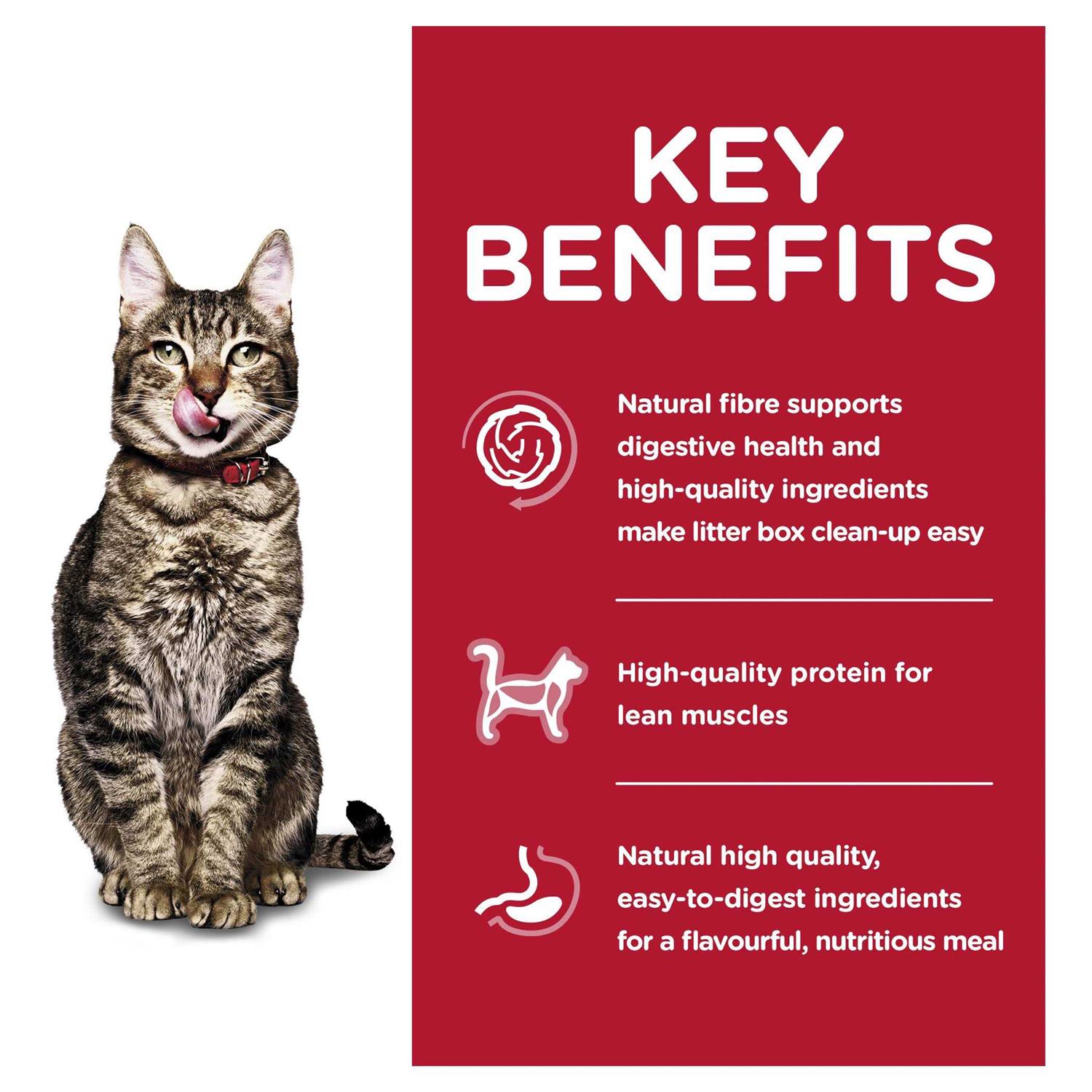 Alternative view of Hill's Science Diet Adult 7+ Indoor Dry Cat Food