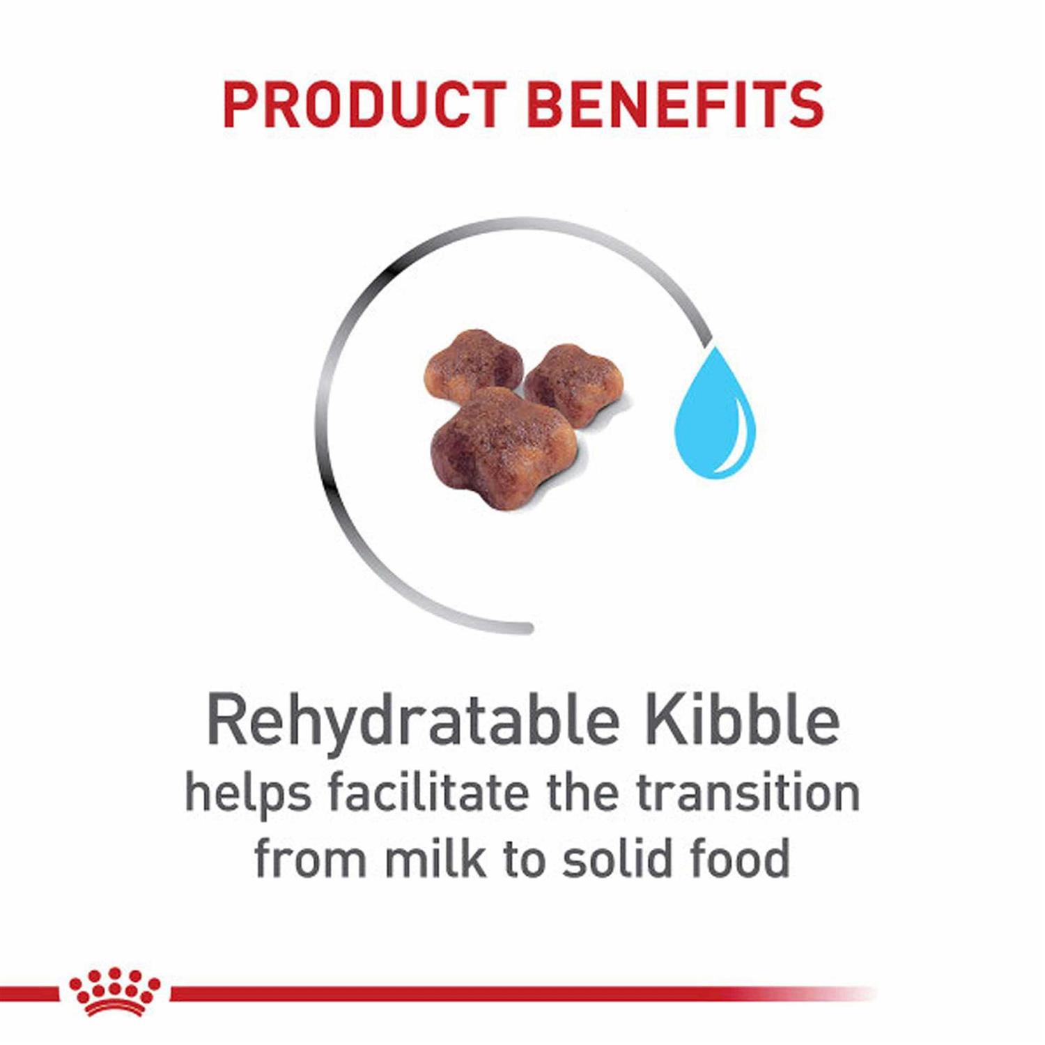 Alternative view of Royal Canin Mother & Baby Dry Cat Food