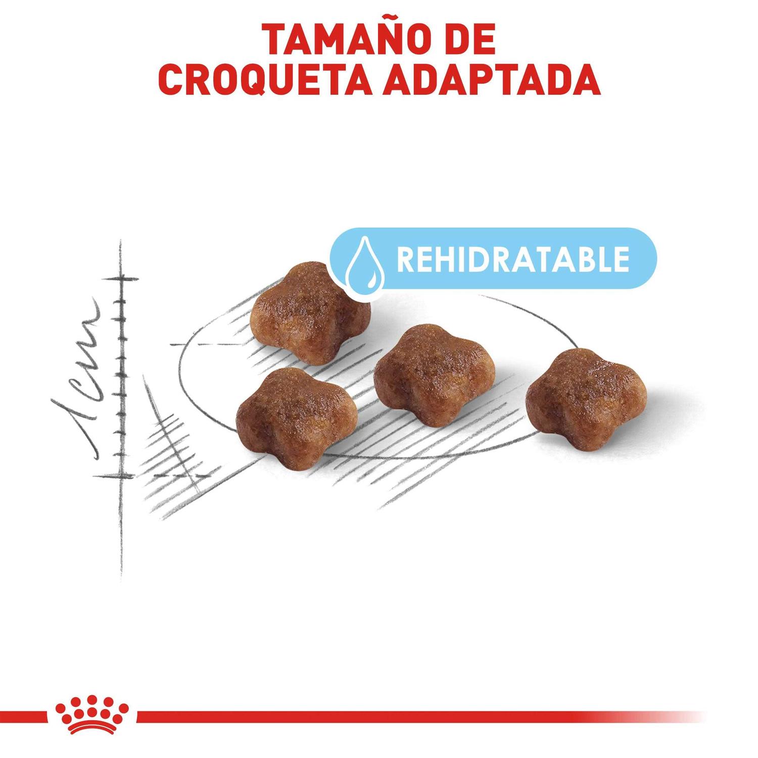 Alternative view of Royal Canin Mother & Baby Dry Cat Food