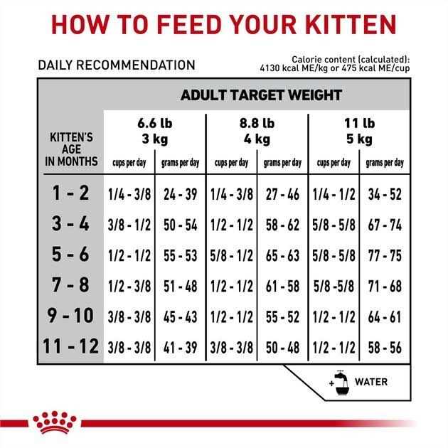 Alternative view of Royal Canin Veterinary Diet Feline Gastrointestinal Kitten Dry Cat Food