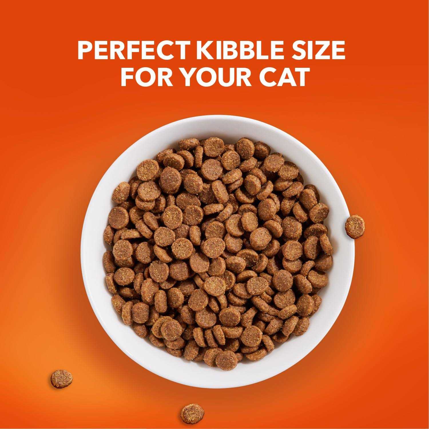 Alternative view of IAMS ProActive Lively Senior Dry Cat Food