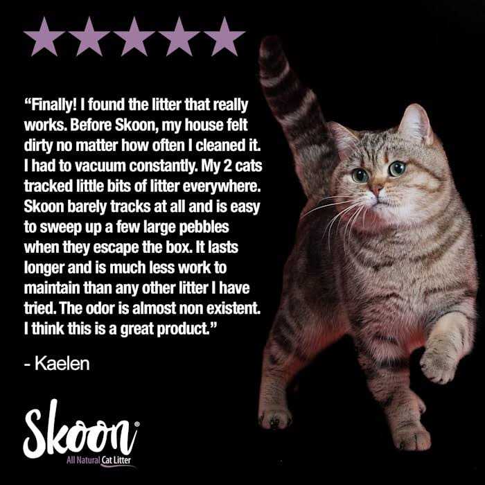Alternative view of Skoon All-Natural Cat Litter Light-Weight, Non-Clumping, Low Maintenance, Eco-Friendly