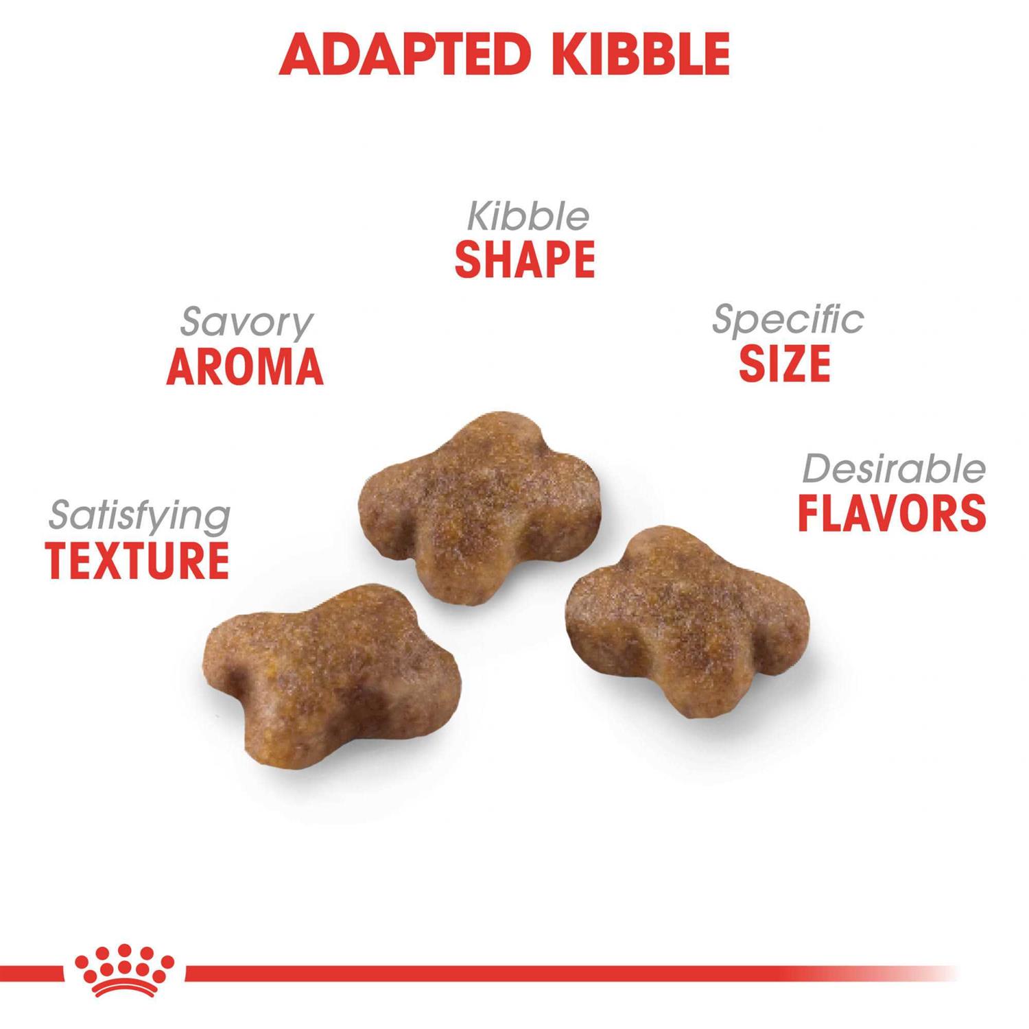 Alternative view of Royal Canin Kitten Feline Health Nutrition Kitten Dry Food