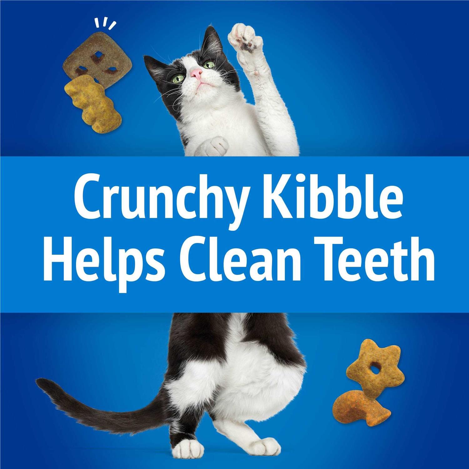 Alternative view of Purina Friskies Beachside Crunch Party Mix Cat Treats