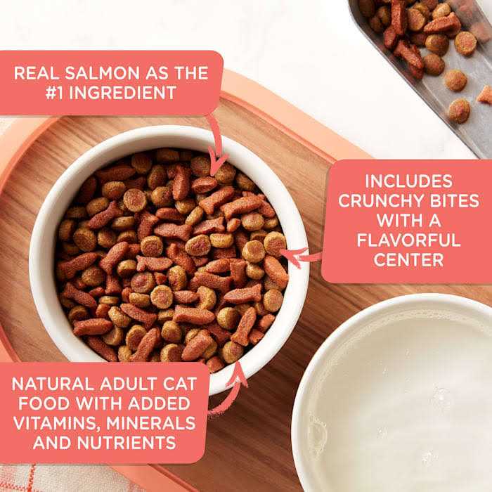 Alternative view of Rachael Ray Nutrish Savory Bites Dry Cat Food