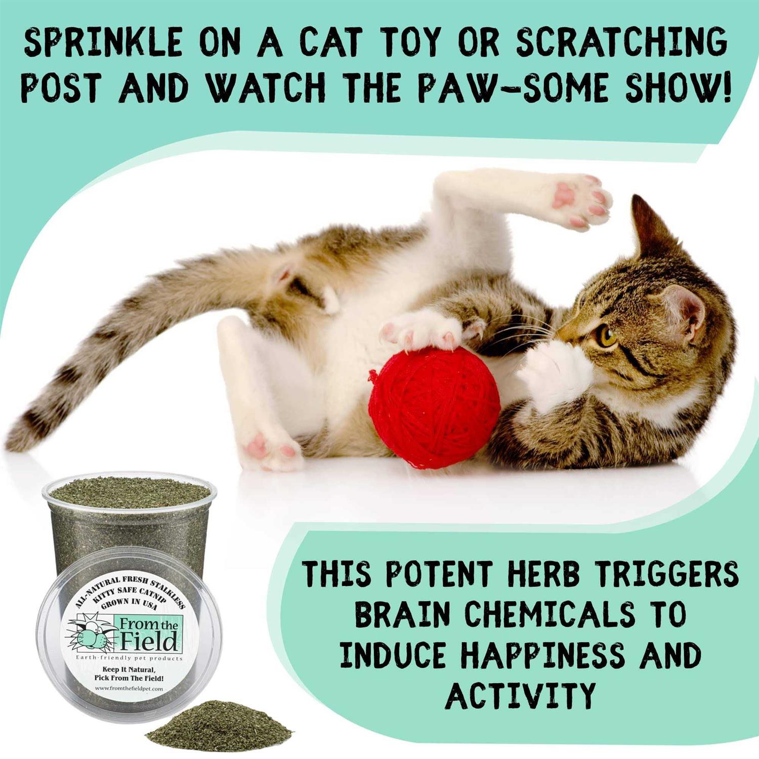 Alternative view of From The Field Stalkless Catnip