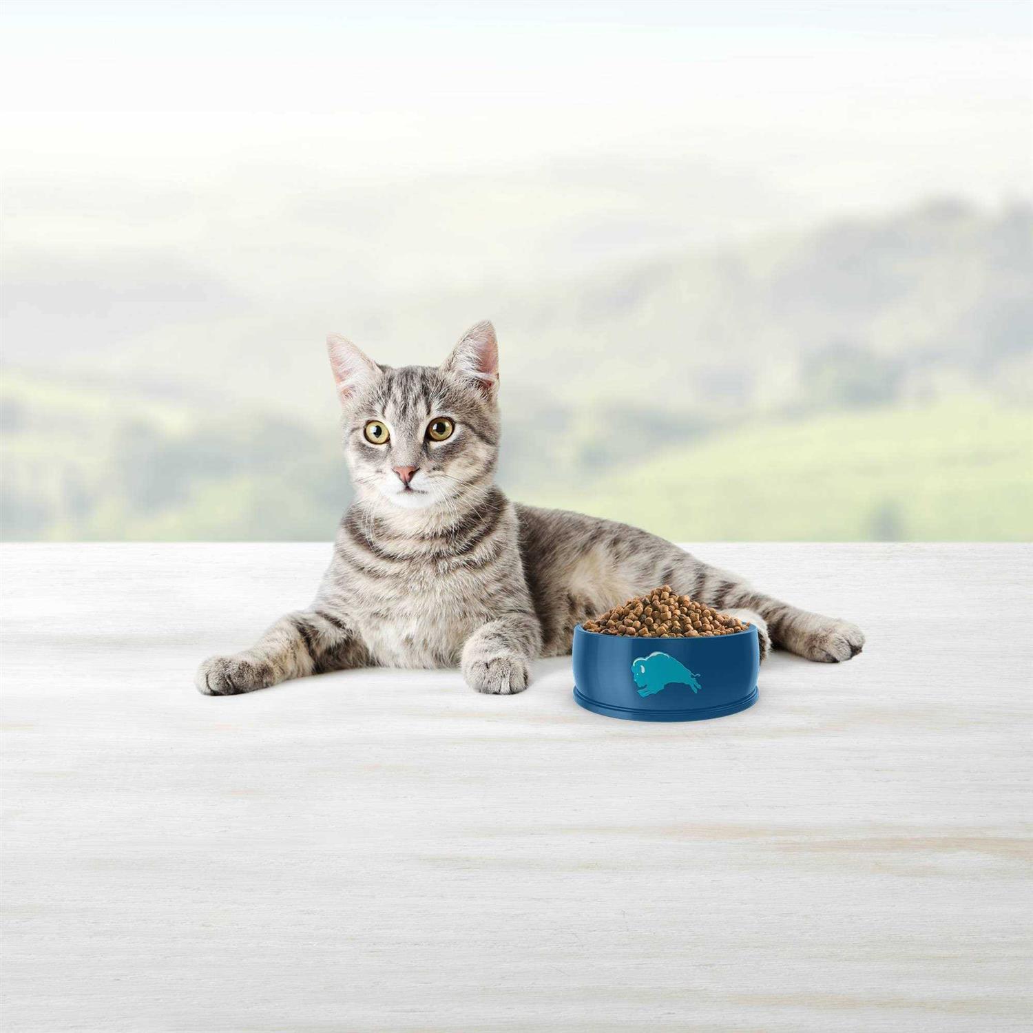 Alternative view of Blue Indoor Hairball Control Adult Dry Cat Food
