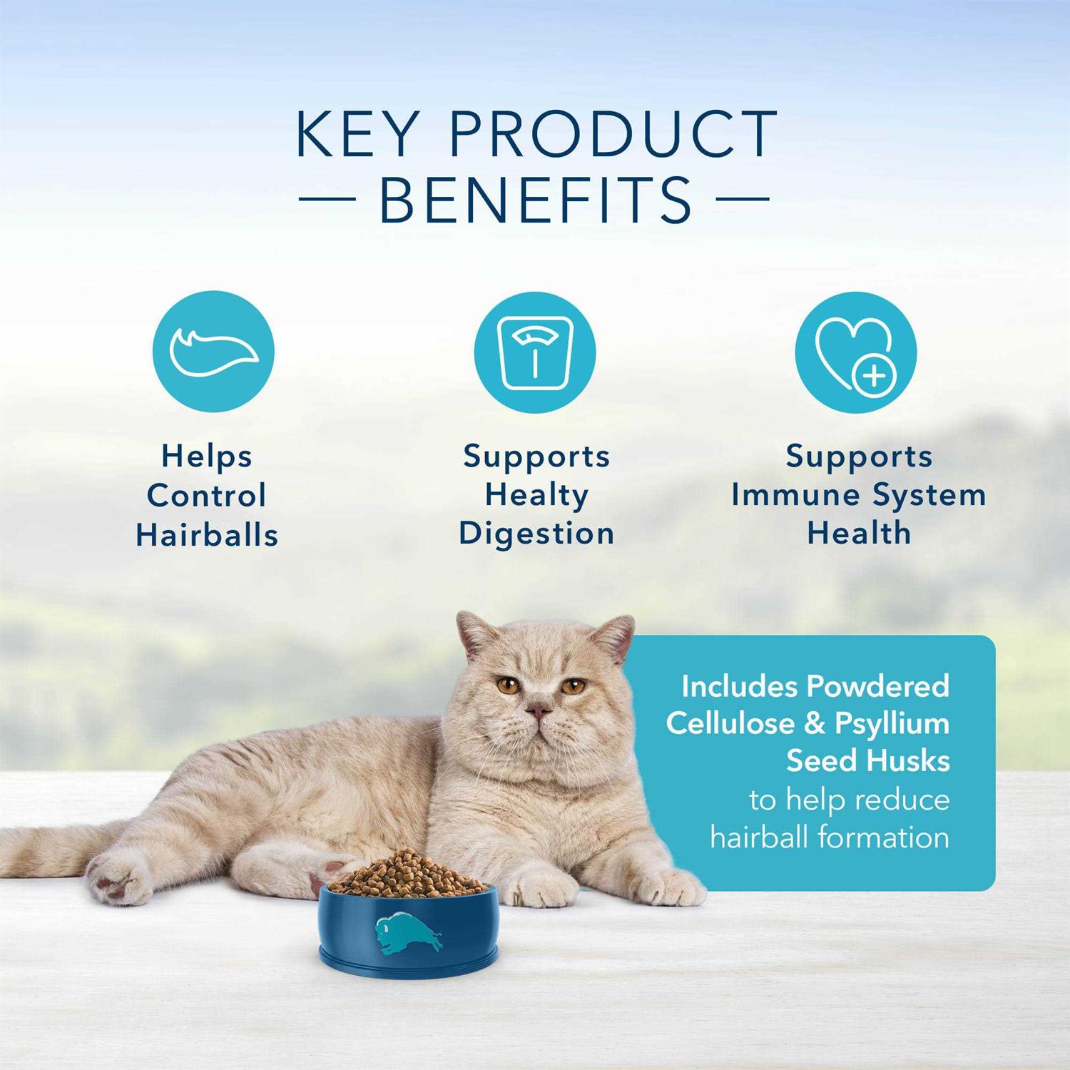 Alternative view of Blue Indoor Hairball Control Adult Dry Cat Food