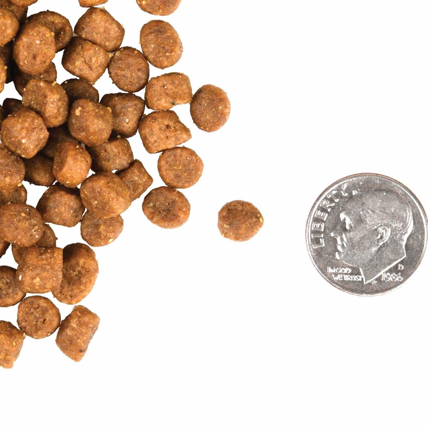 Alternative view of Fromm Gold Cat Food