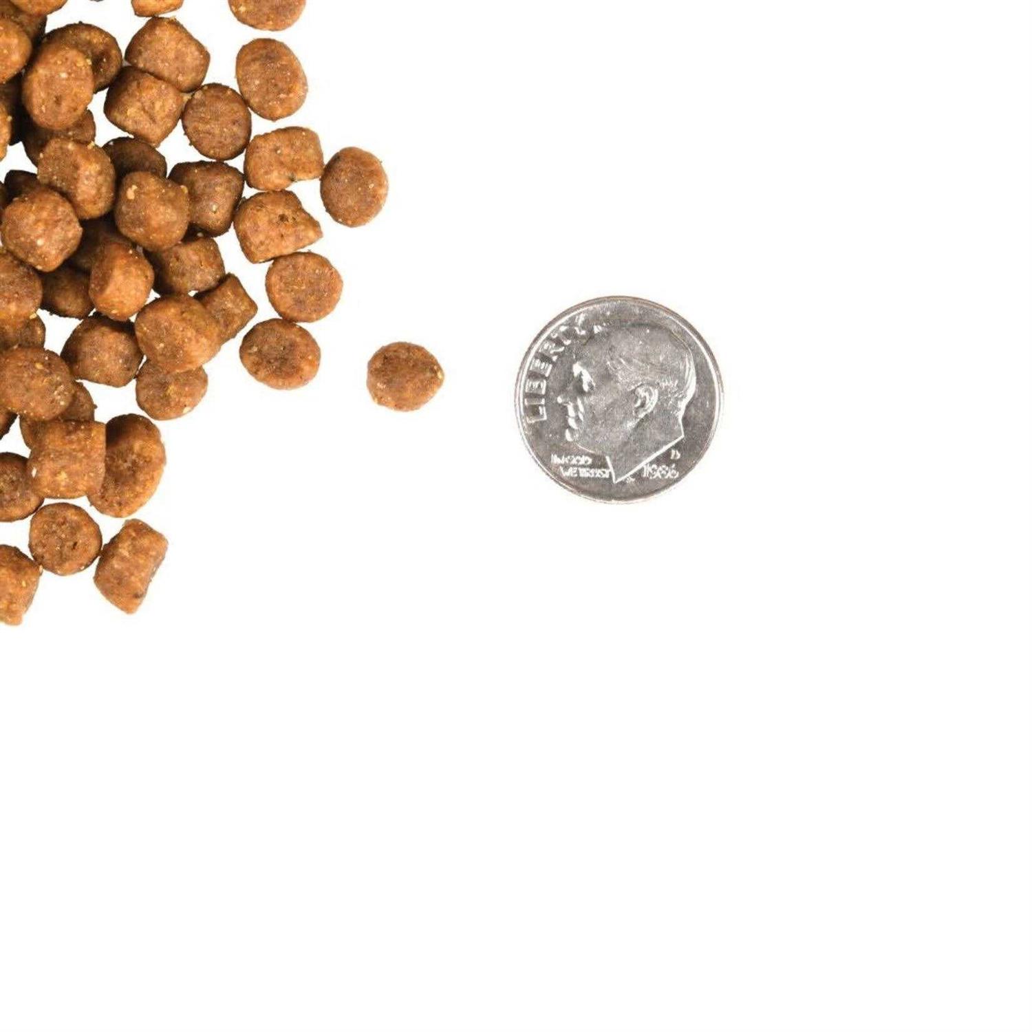 Alternative view of Fromm Gold Cat Food