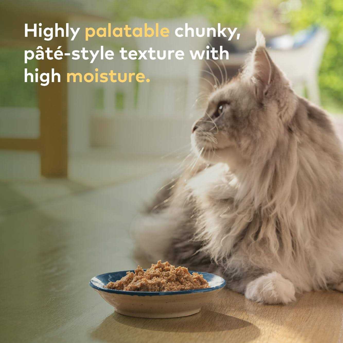 Alternative view of Ziwi Peak Chicken Recipe Canned Cat Food