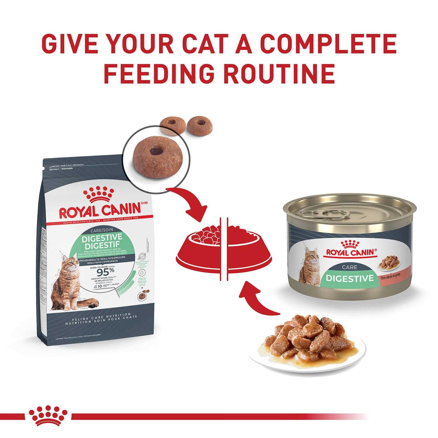 Alternative view of Royal Canin Digest Sensitive Thin Slices in Gravy Wet Cat Food