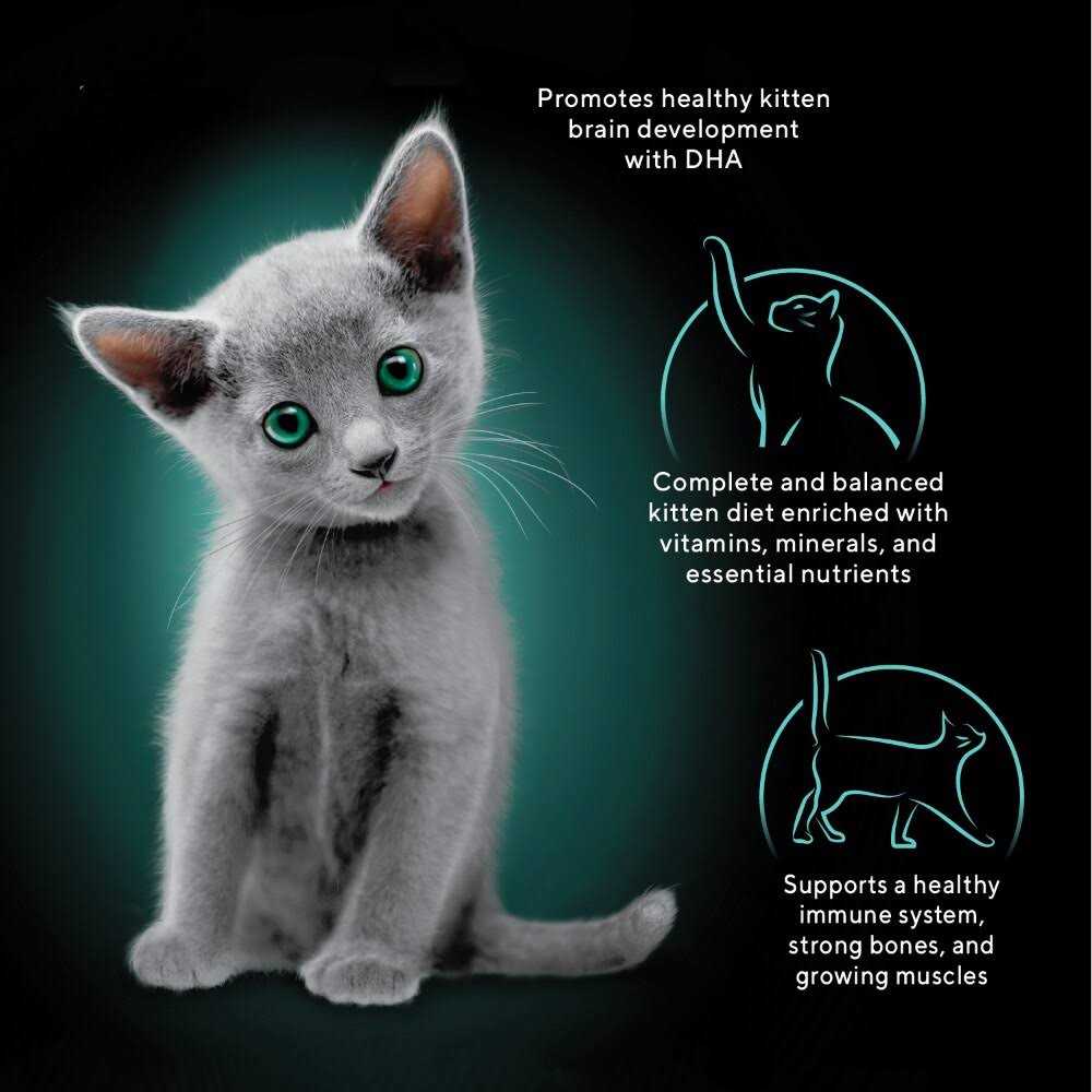 Alternative view of Sheba Perfect Portions Kitten Premium Soft Pate Wet Food Variety Pack