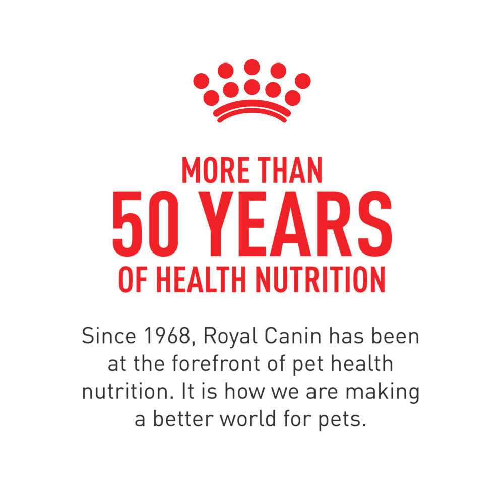 Alternative view of Royal Canin Oral Care Dry Cat Food