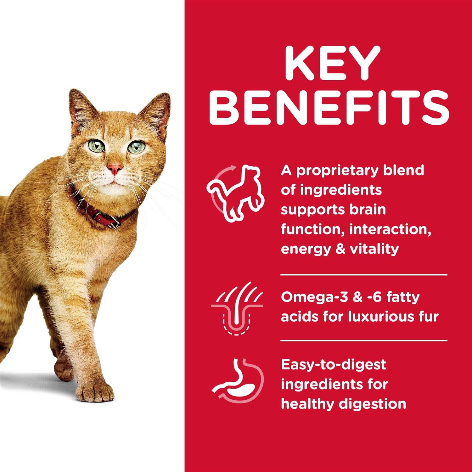 Alternative view of Hill's Science Diet Adult 7+ Senior Vitality Dry Cat Food