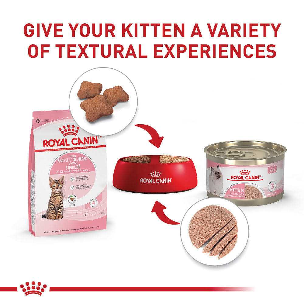 Alternative view of Royal Canin Feline Health Nutrition Kitten Spayed/Neutered Dry Cat Food