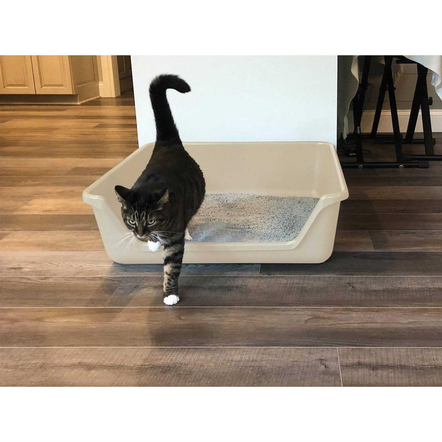 Shirley K's Senior Cat Litter Box