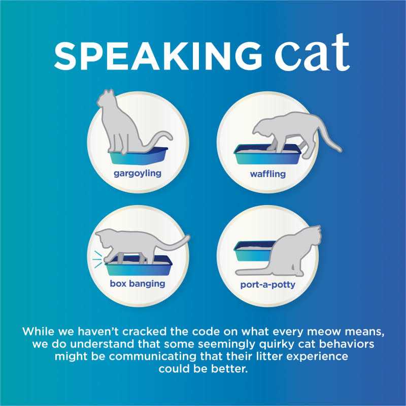 Alternative view of Purina Tidy Cats Tidy Care Comfort Scented Clumping Cat Litter Odor Control Low Dust Formula