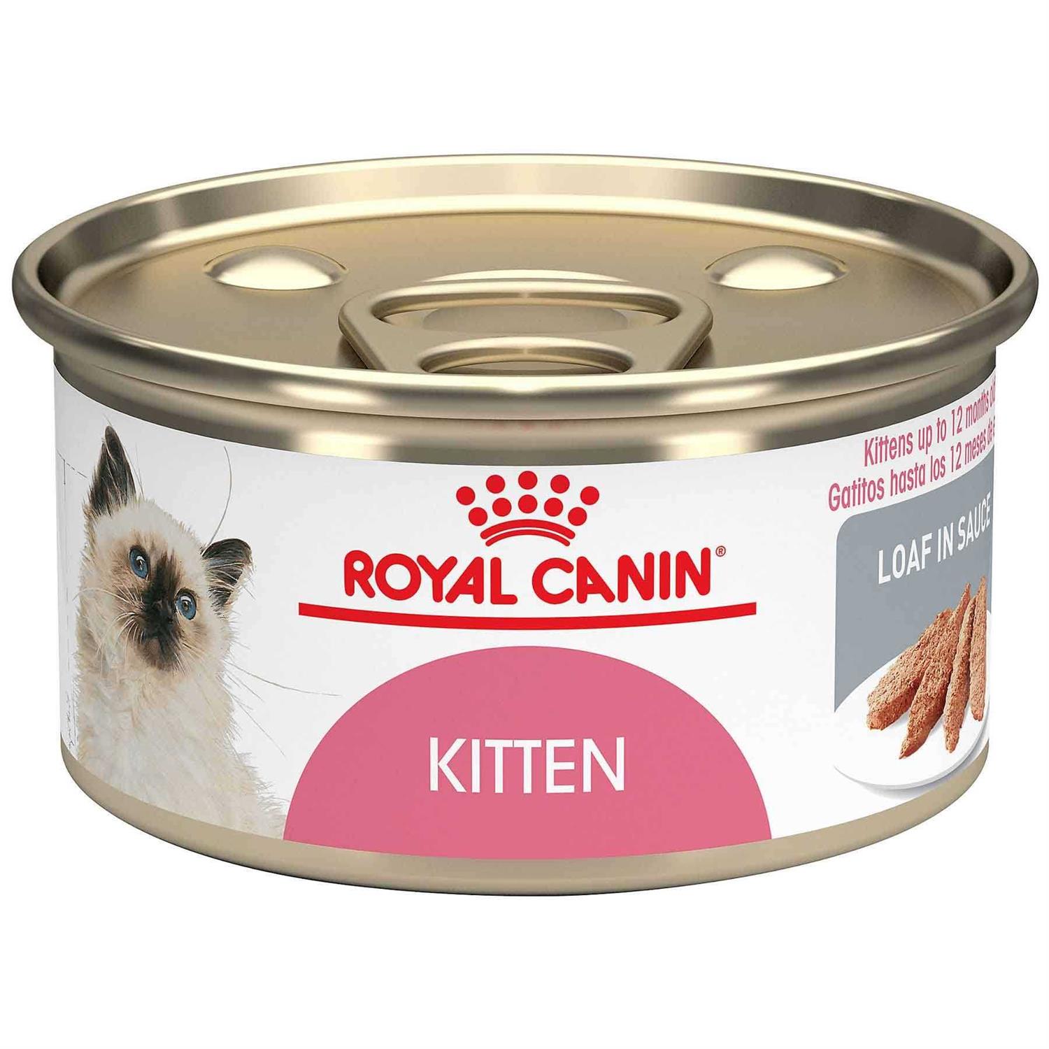 Royal Canin Kitten Loaf in Sauce Cat Food