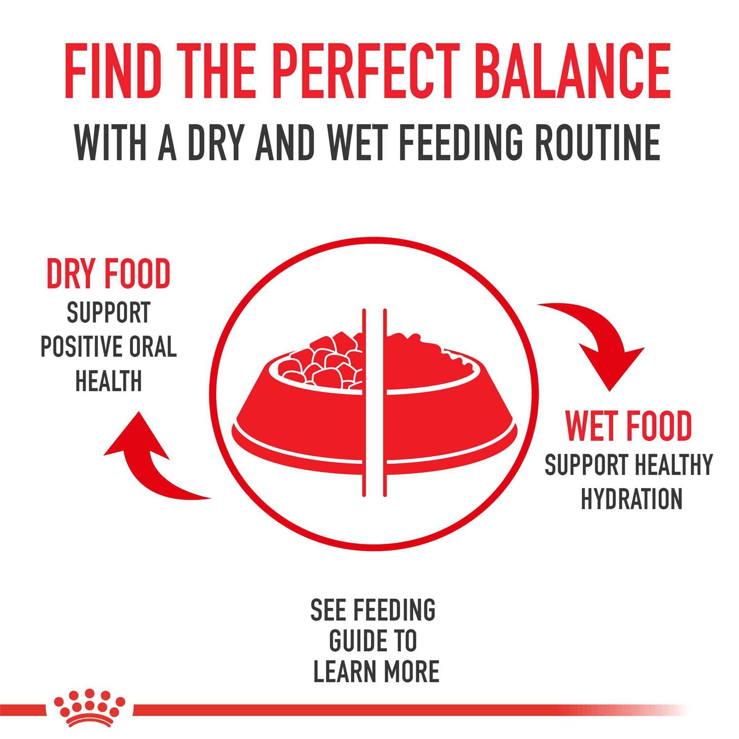 Alternative view of Royal Canin Kitten Loaf in Sauce Cat Food
