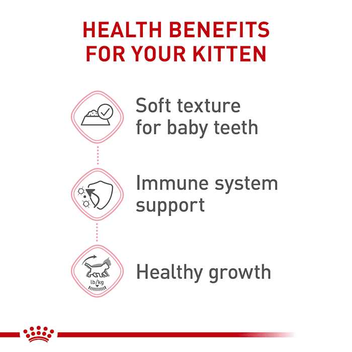 Alternative view of Royal Canin Kitten Loaf in Sauce Cat Food