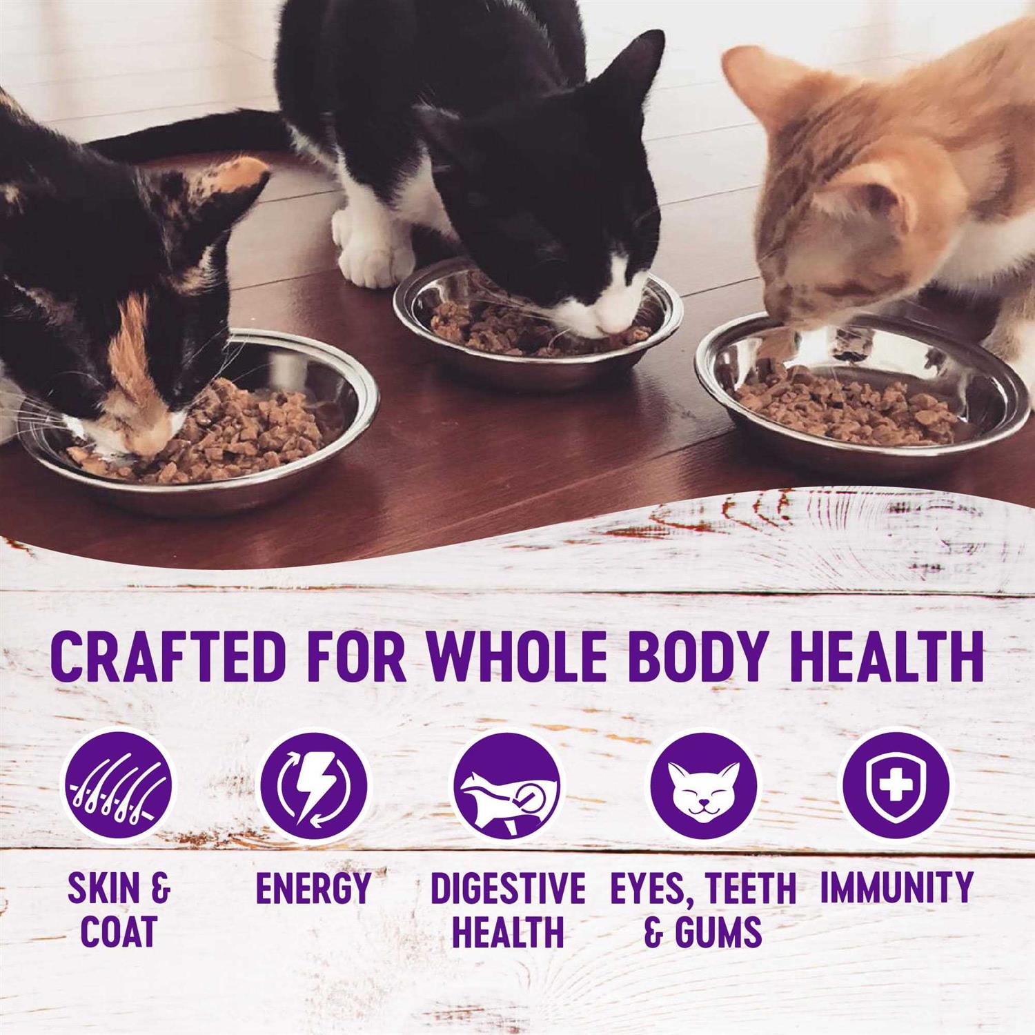 Alternative view of Wellness Healthy Indulgence Grain-Free Gravies Variety Pack Wet Cat Food Pouch