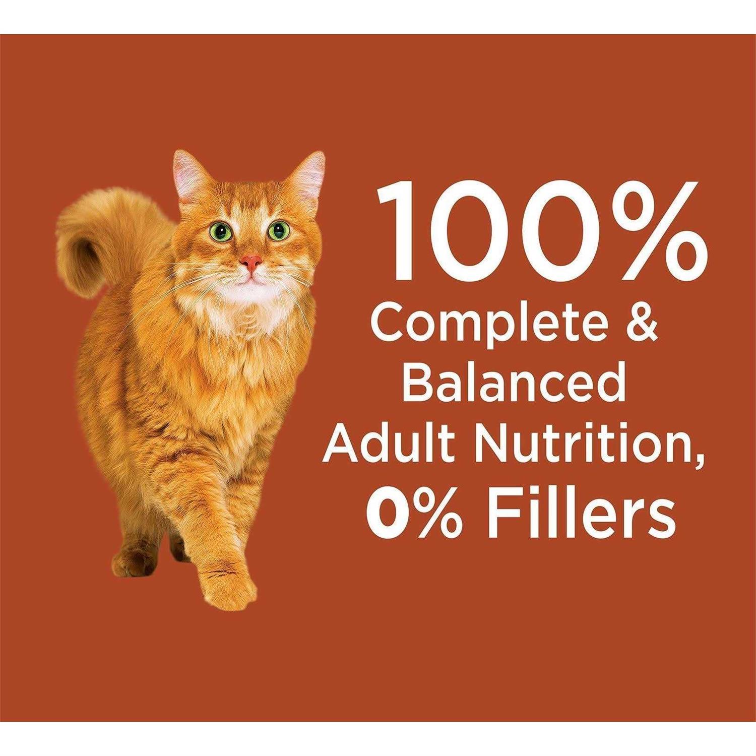 Alternative view of Iams Proactive Health High Protein Adult Dry Cat Food with Chicken & Salmon