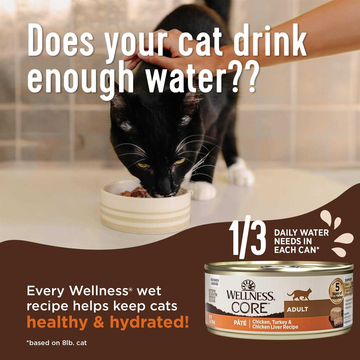 Alternative view of Wellness Core Digestive Health Pate Recipe Wet Cat Food