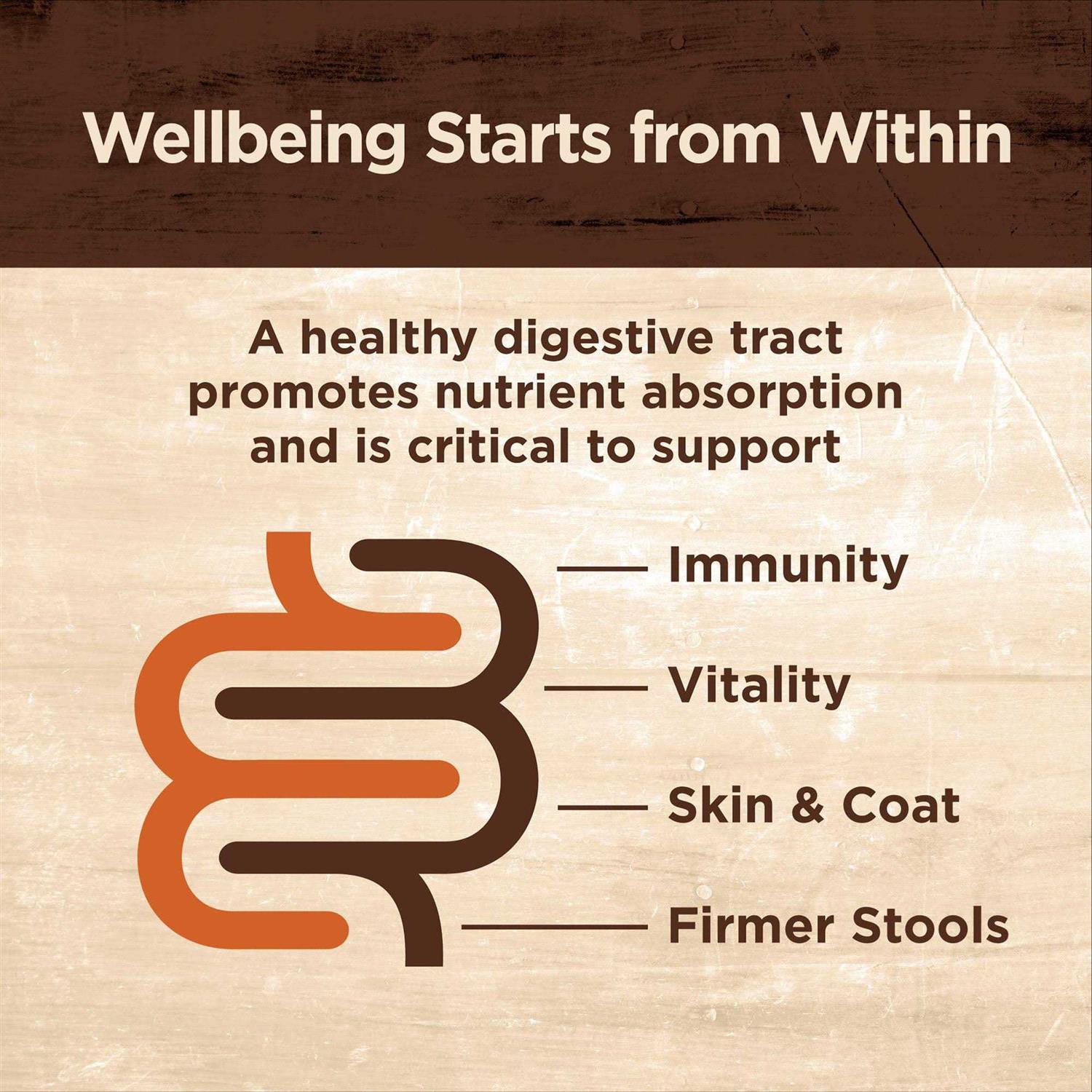 Alternative view of Wellness Core Digestive Health Pate Recipe Wet Cat Food